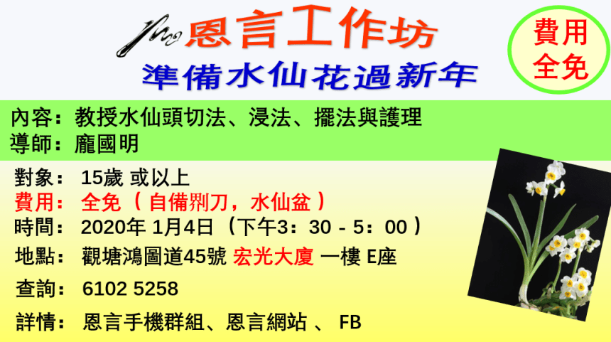 工作坊-水仙花2